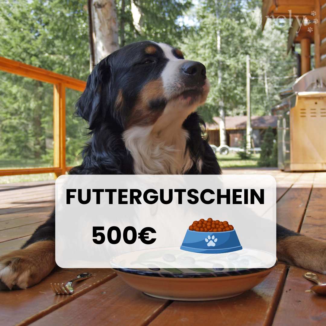 500€ Futtergutschein
